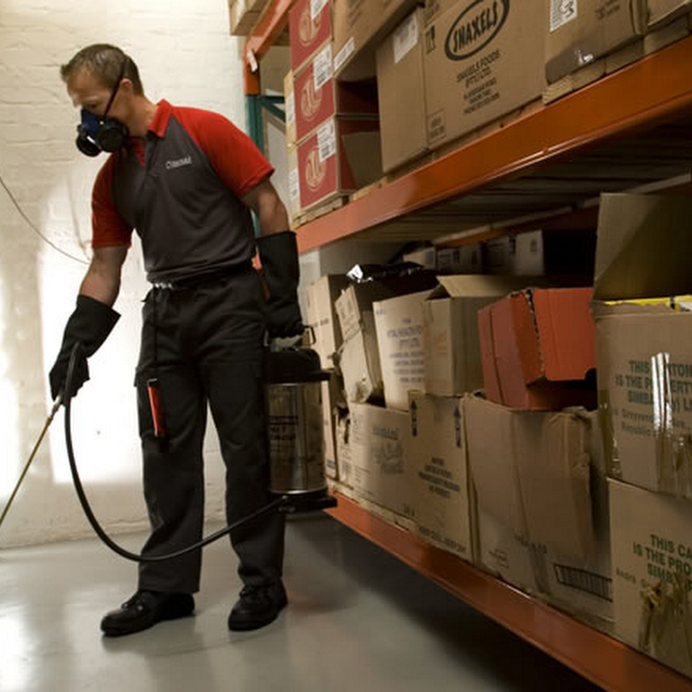 Rentokil Pest Control - Edinburgh