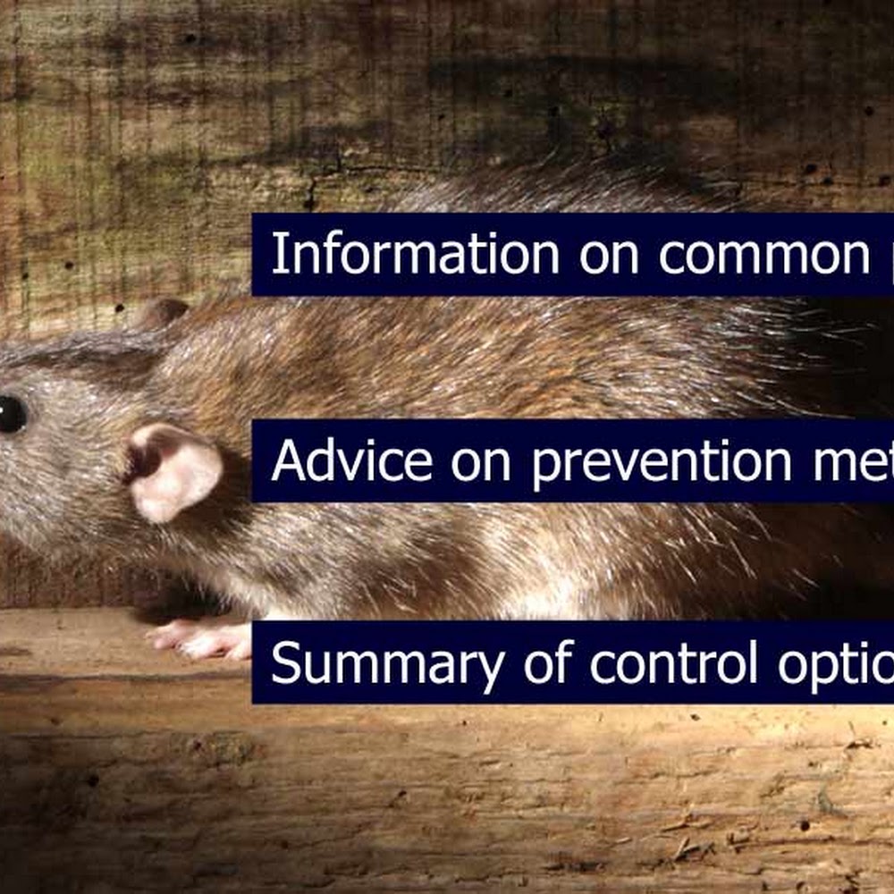 UK Environment Services
