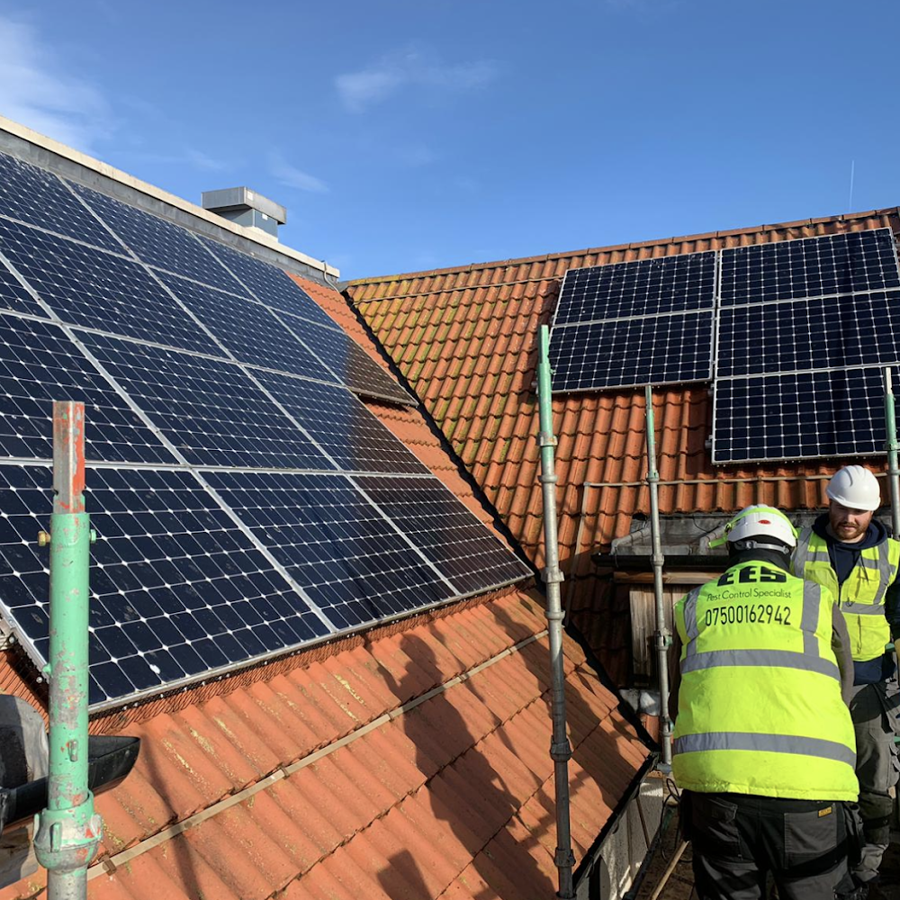 Edinburgh Environmental Services (EES) Edinburgh Pest Control