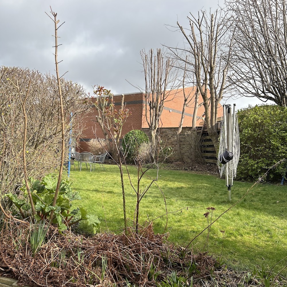 Falcon Tree Management Ltd