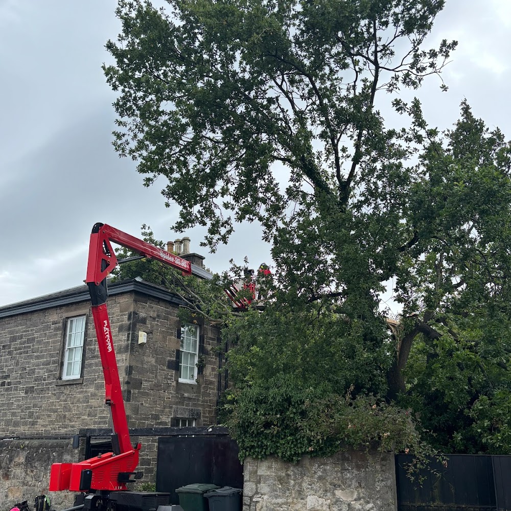 RS Treecare - Tree Surgeons Edinburgh