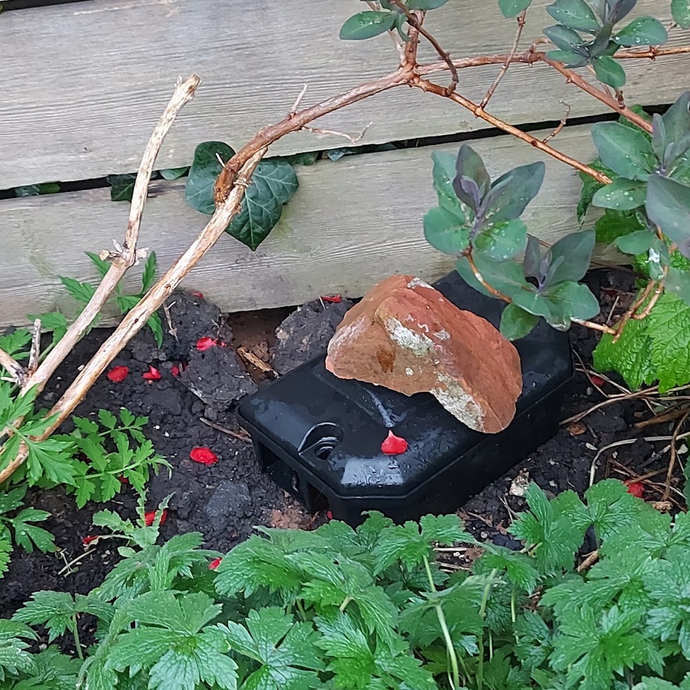 PestSTOP