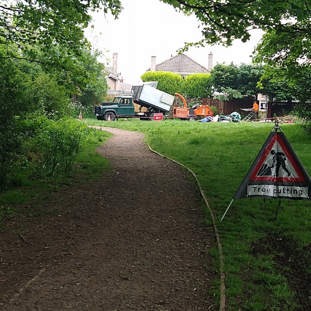 Ogilvie Hayes Tree and Garden Services