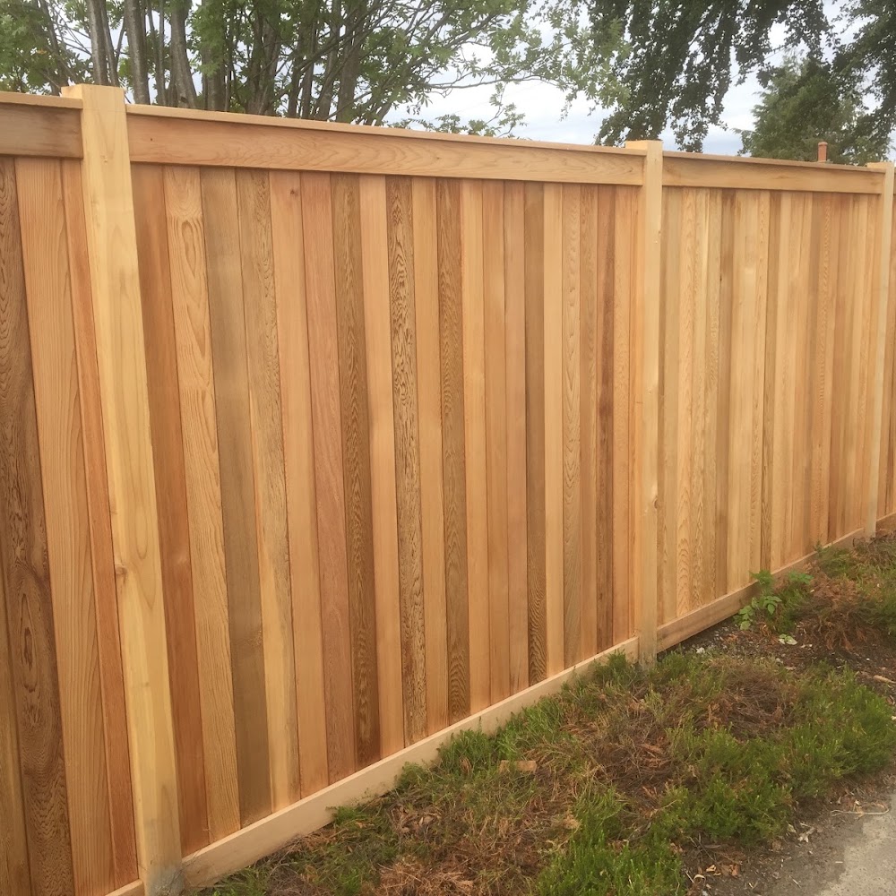 Edinburgh Garden Fences