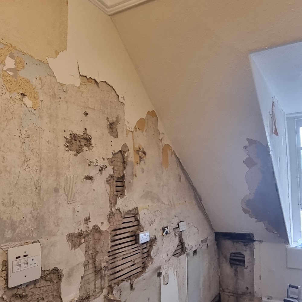 Ronnie Miller Plastering