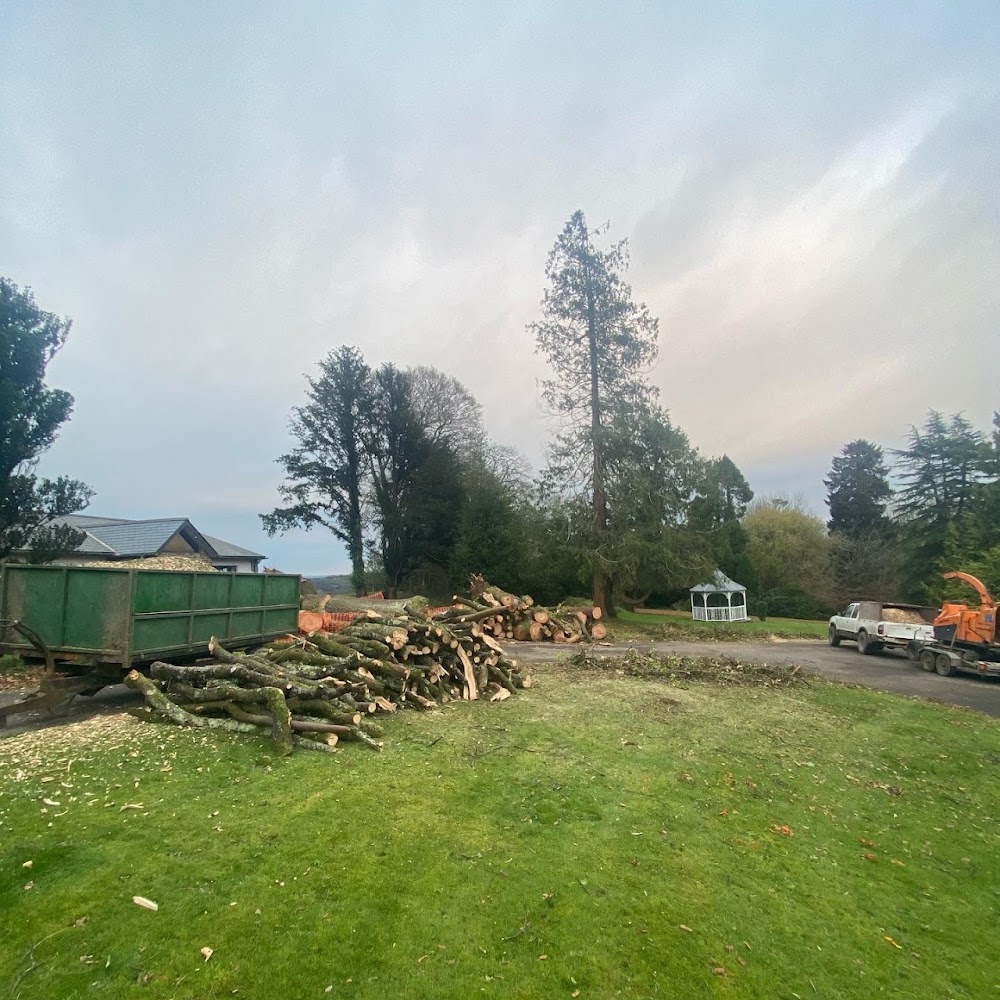 James Balch Tree Services