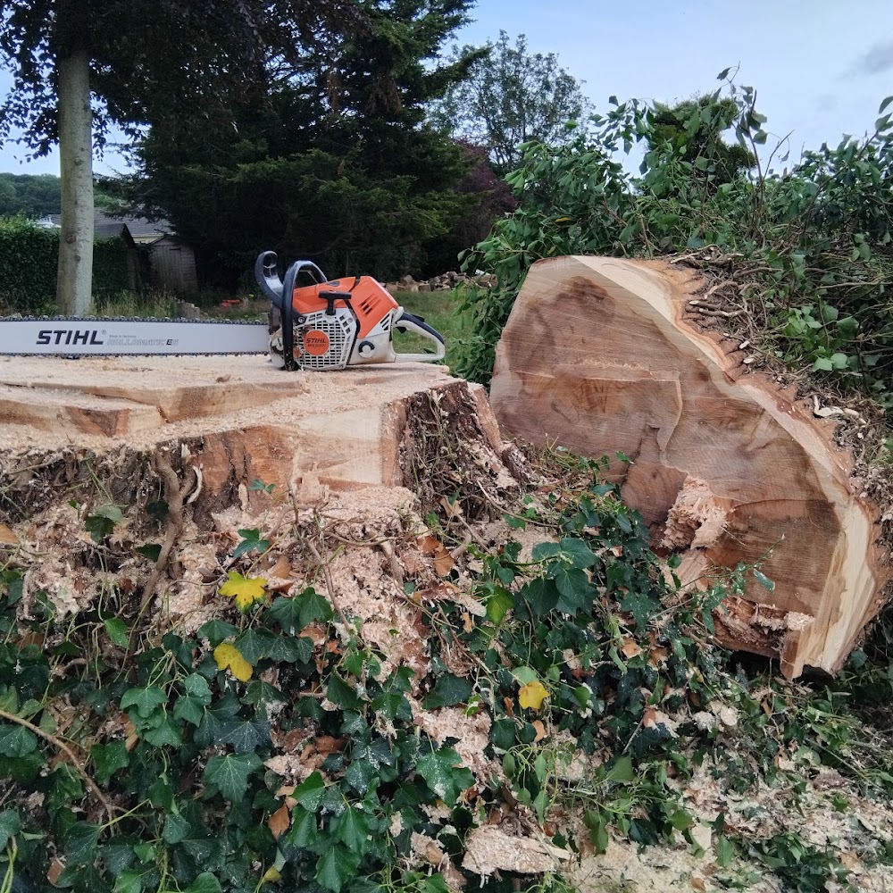 Falcon Tree Care
