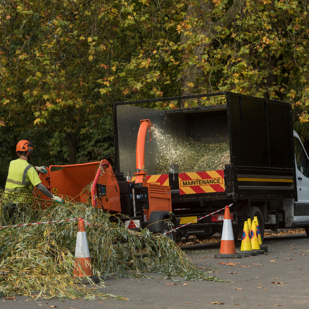 Tree Surgeon Exeter
