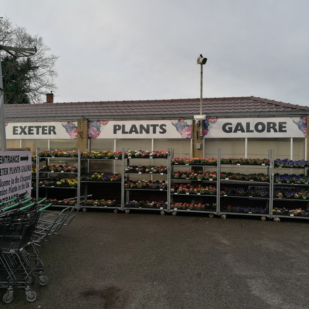 Plants Galore