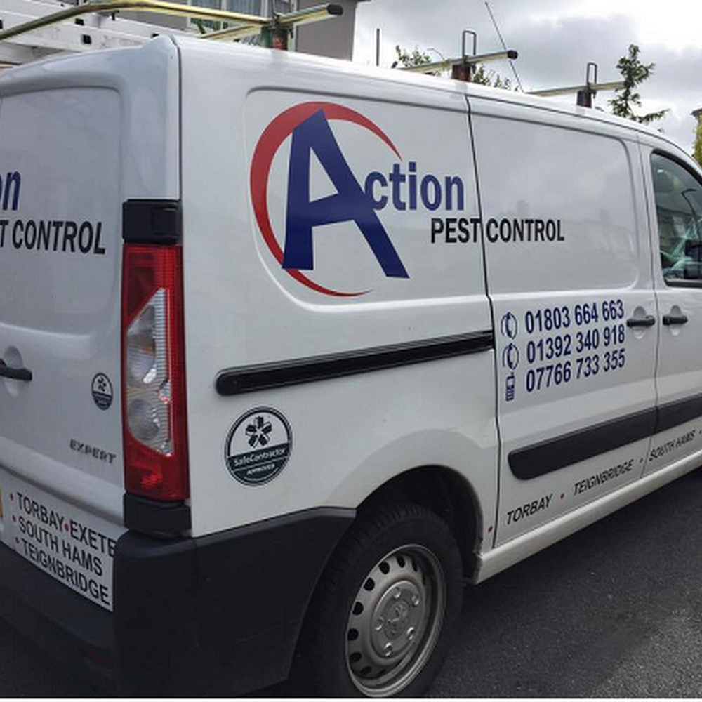 ACTION PEST CONTROL