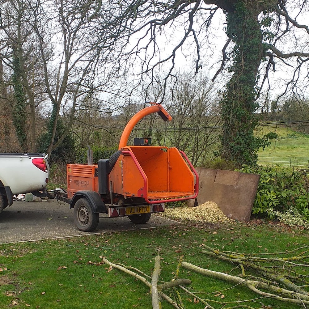Mitchell Tree Surgery
