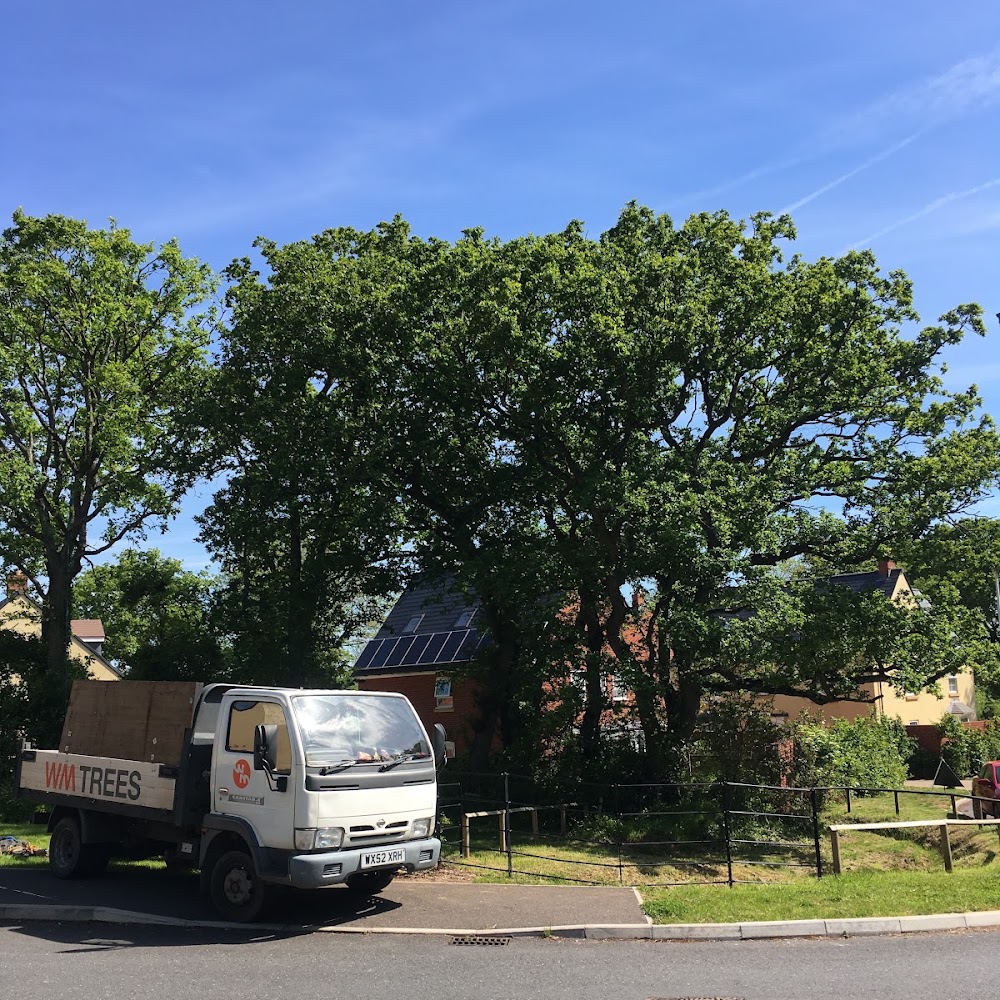 WM Trees