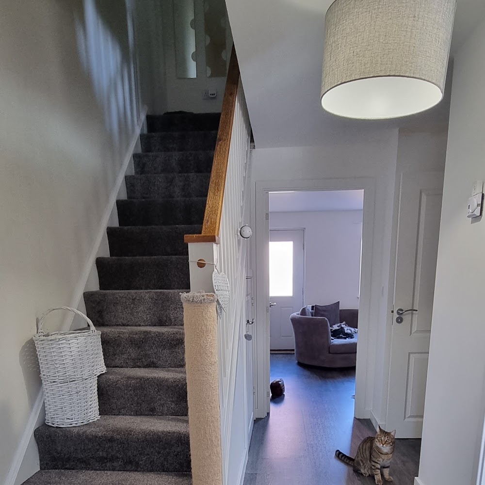 City Flooring Exeter