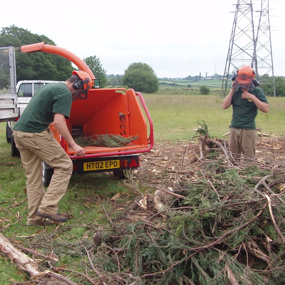 Exe Tree Care