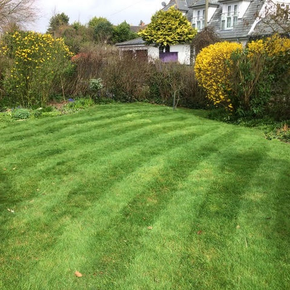 Paul Jackson Landscaping & Fencing