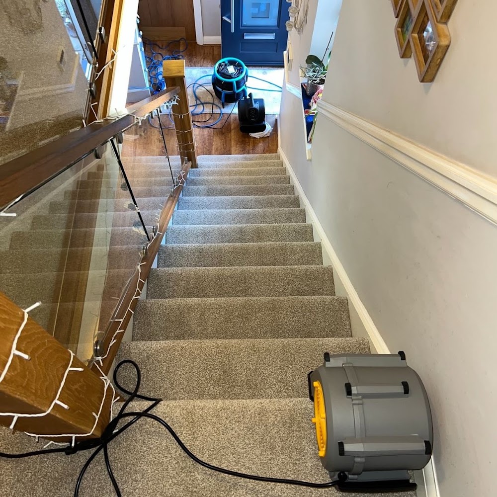 Exeter Carpet & Upholstery Cleaning