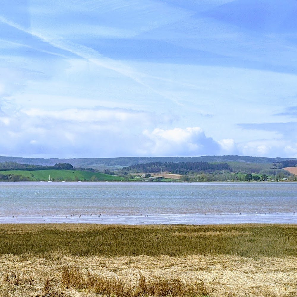 Exe Estuary Pest Control