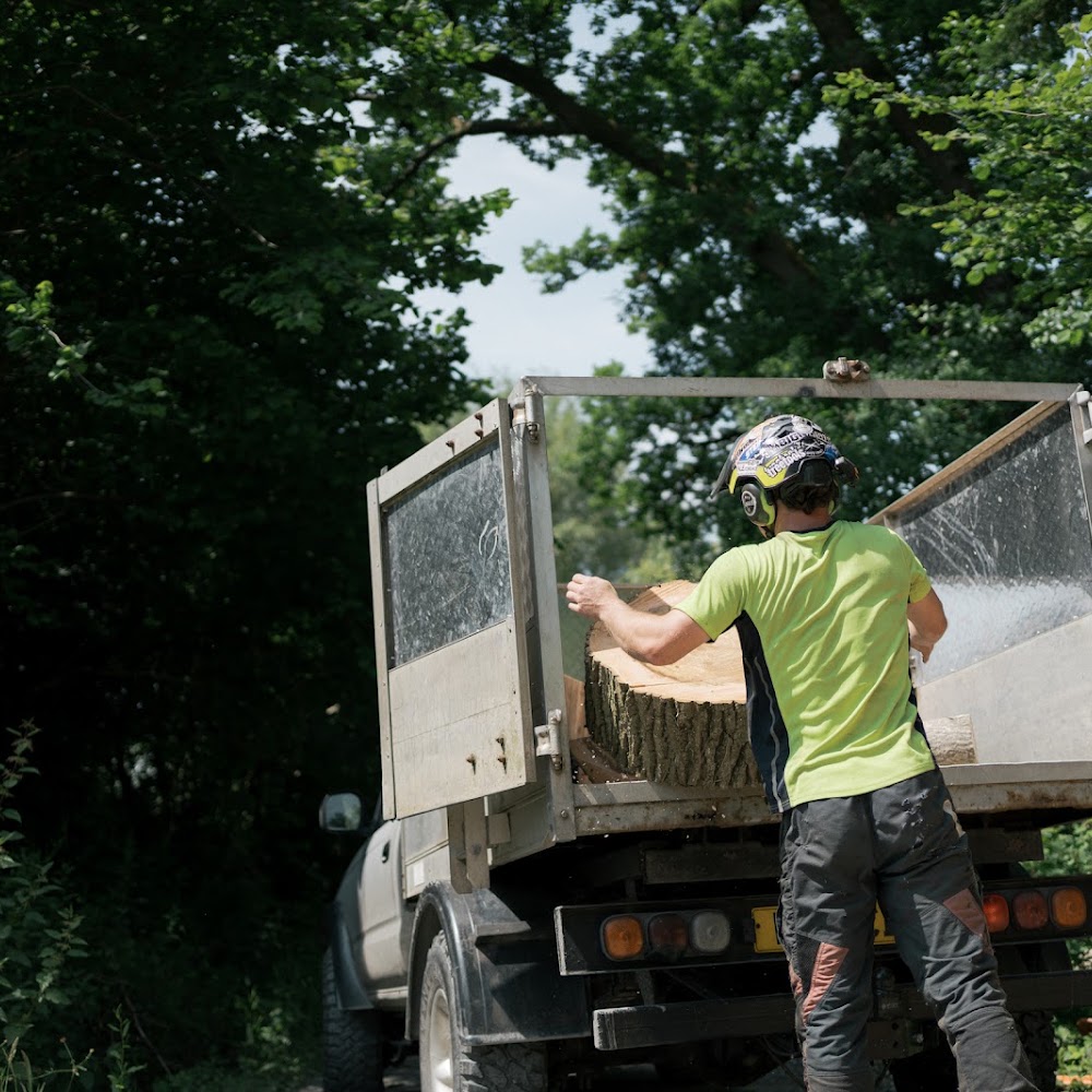 Moorland Tree Care