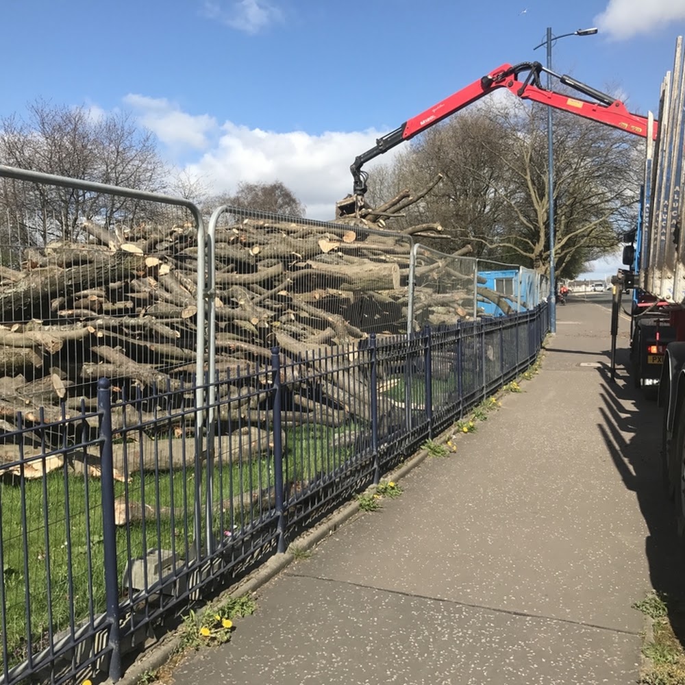 Glasgow Trees