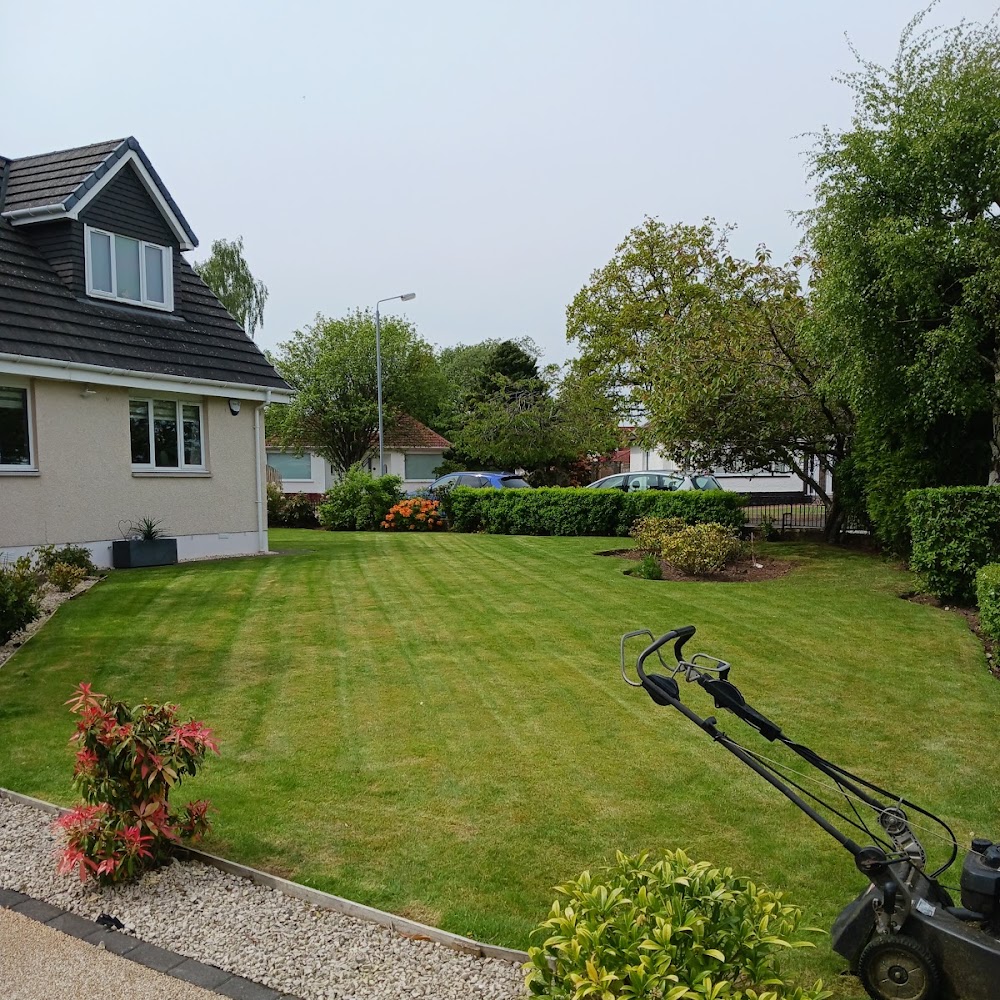 Cathcart Tree Surgeons