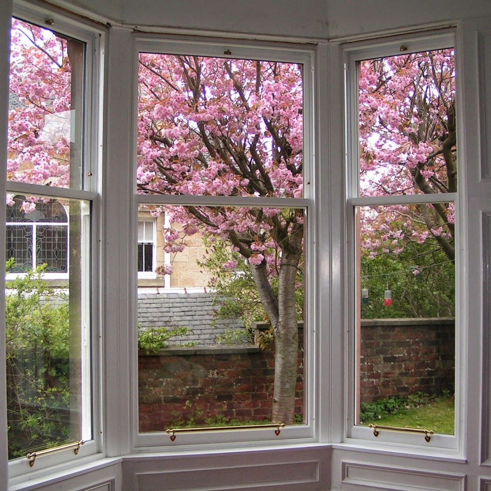 Window Advice Centre