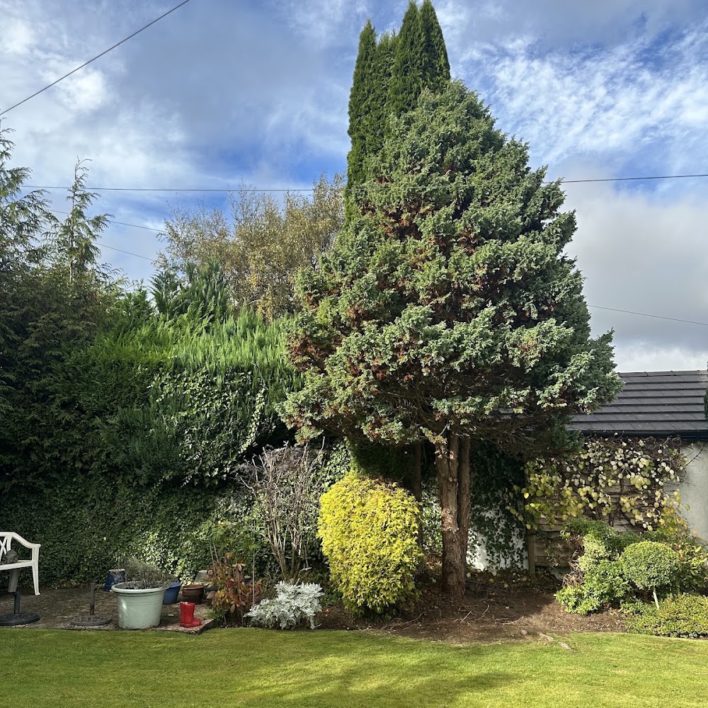 Stevenson Tree Care