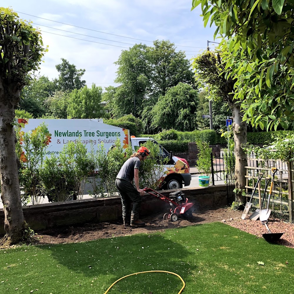 Newlands Tree Surgeons