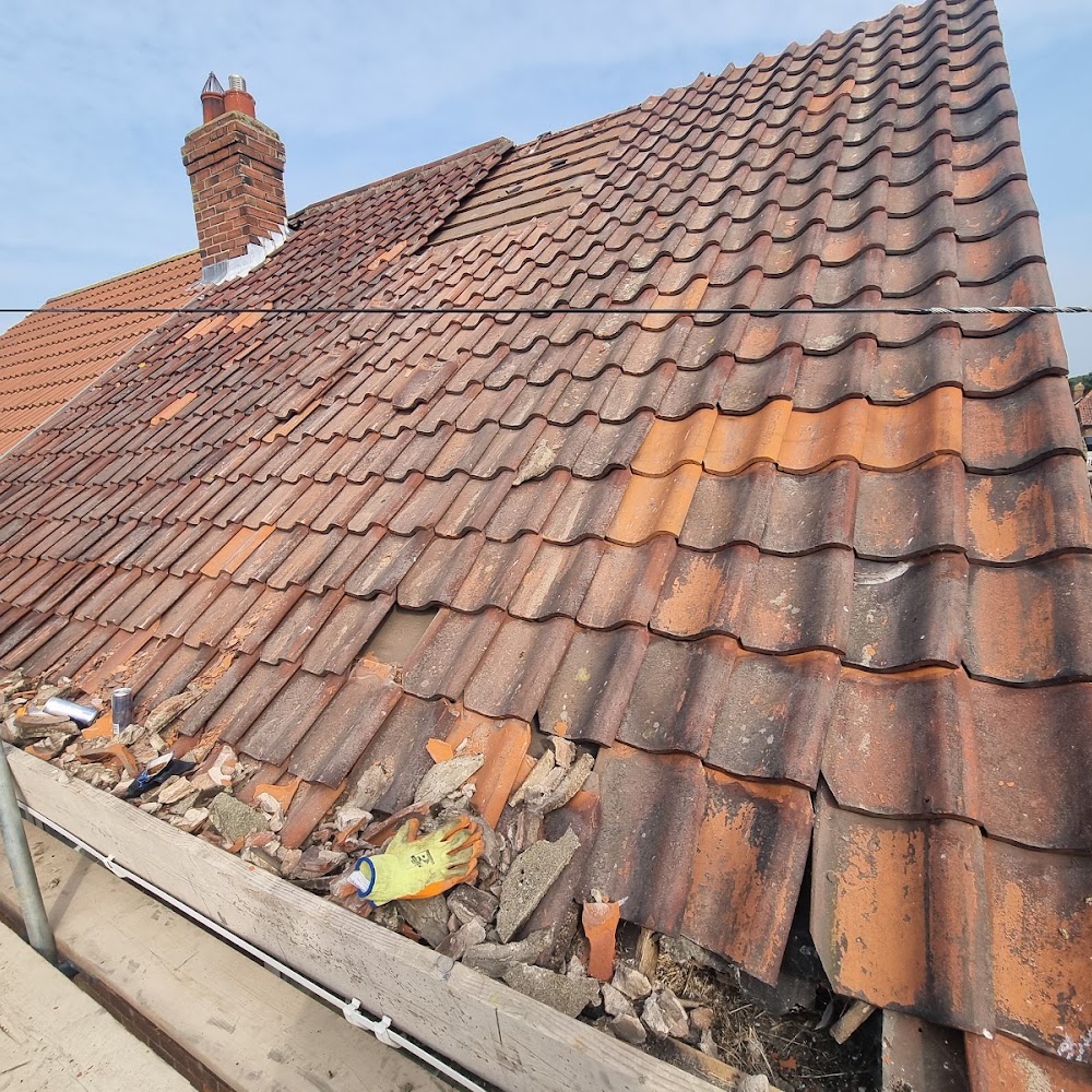 Arch roofing service's