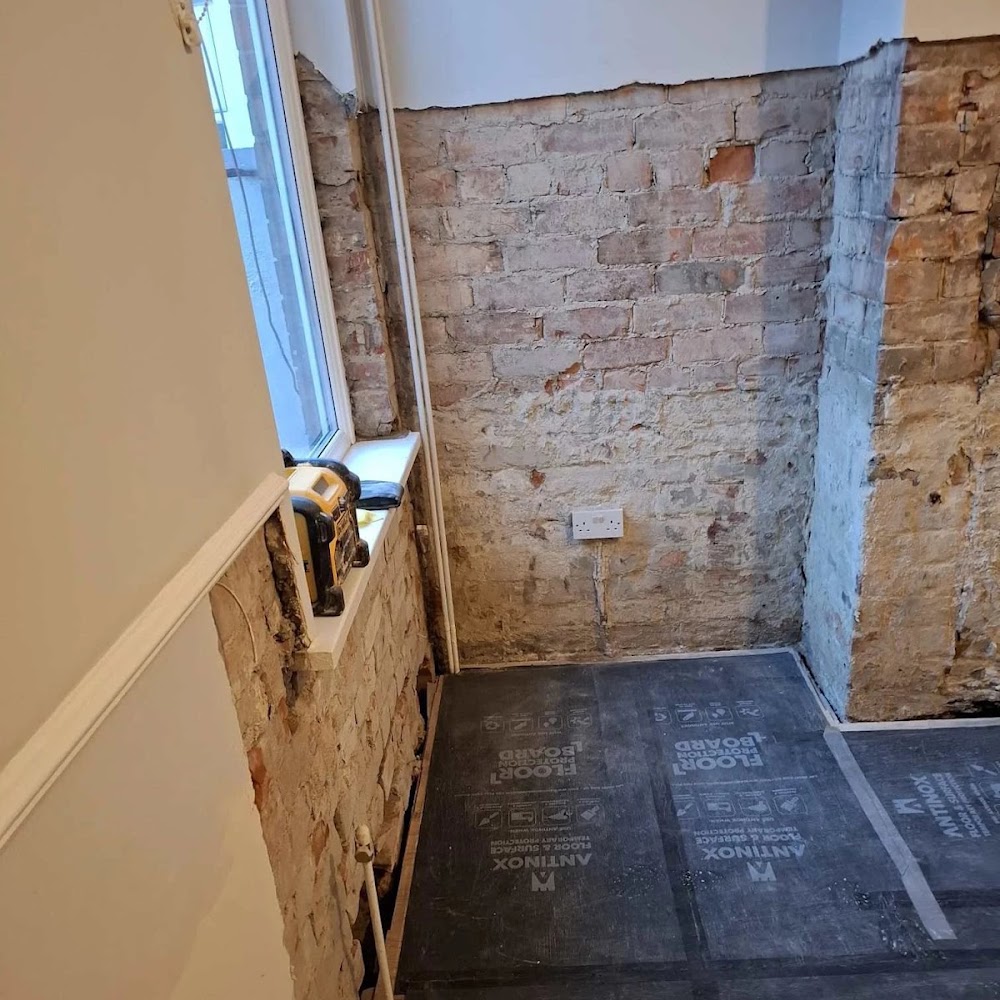 All About Damp