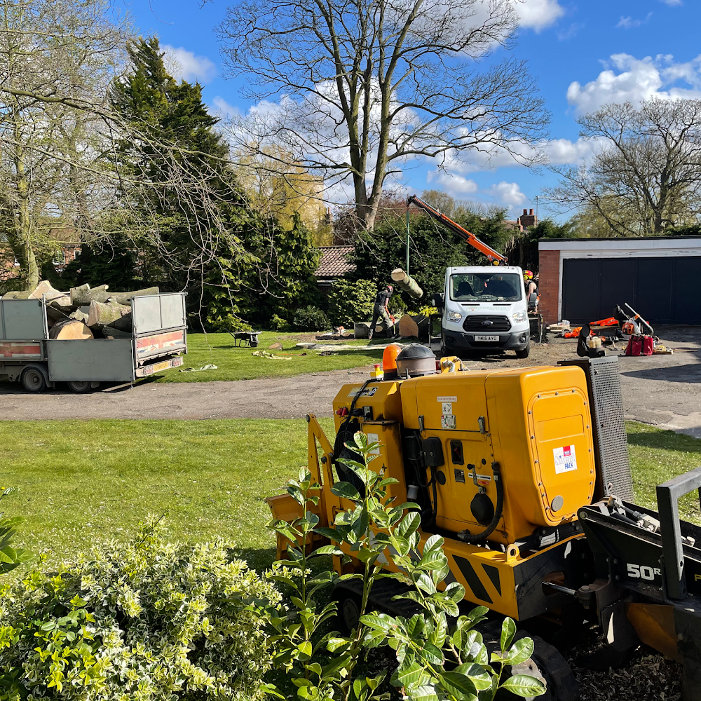 Yorkshire Tree Surgery