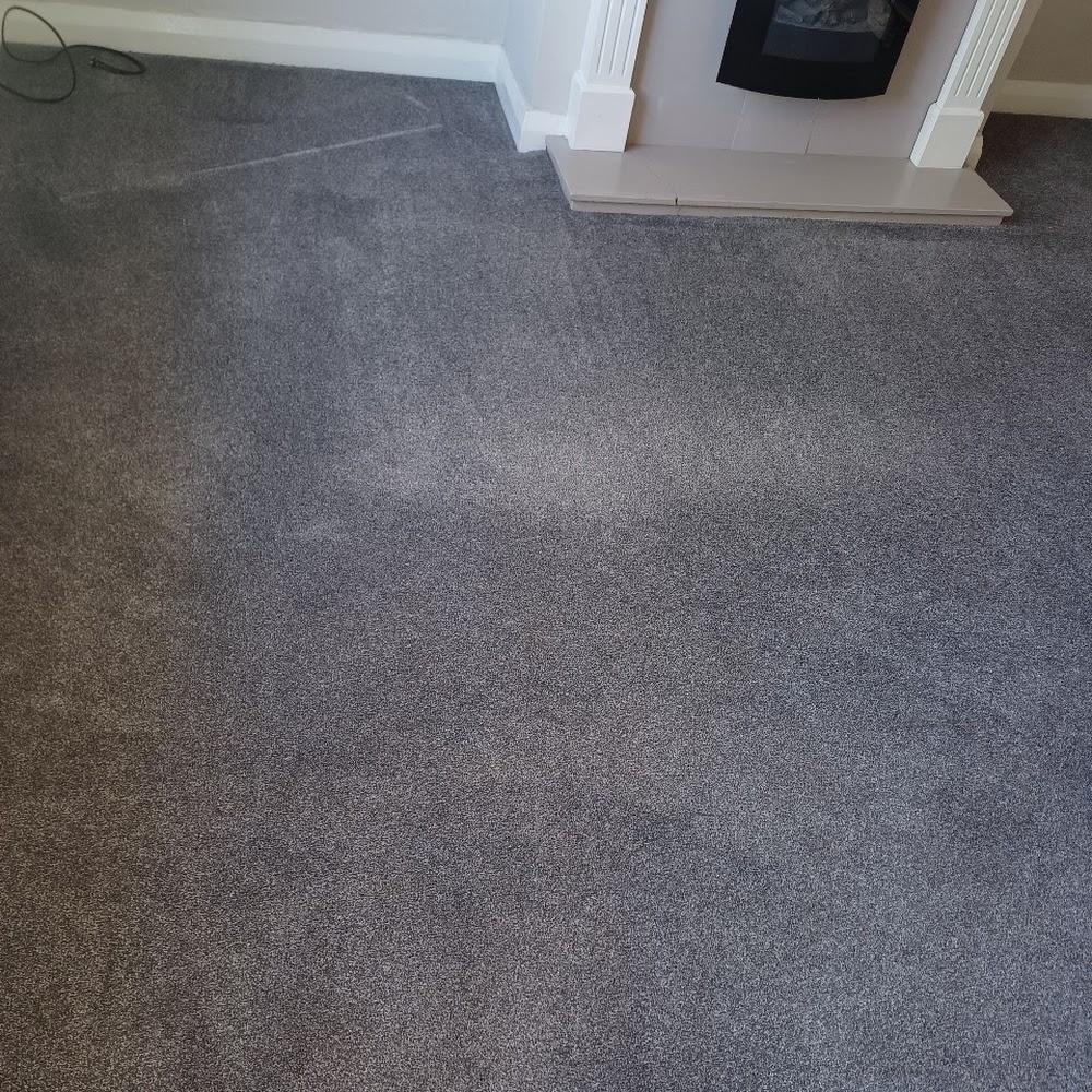 The Expert Cleaners