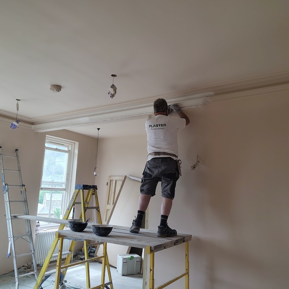 Plaster Restorations (u.k.) Ltd