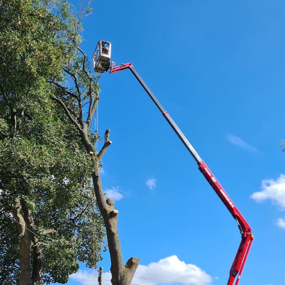 J M Tree Services