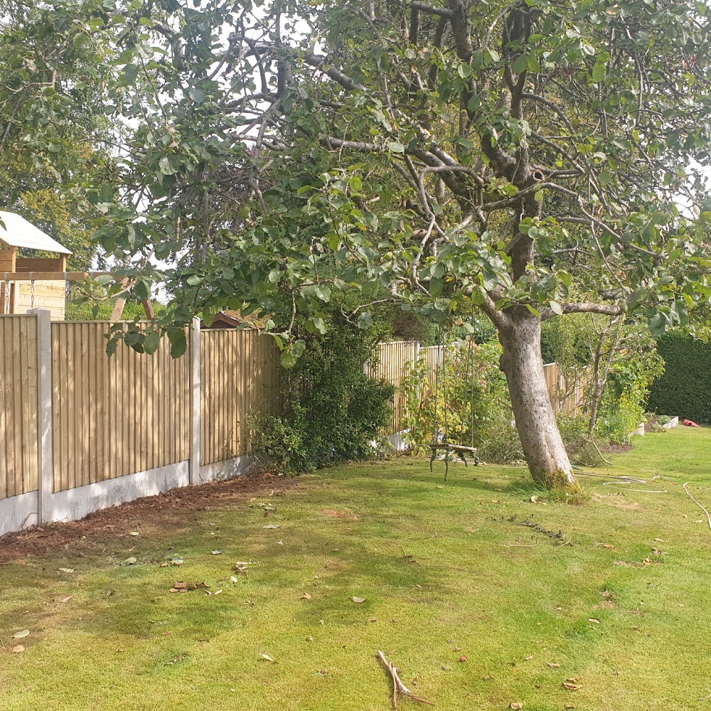Damo's decking and fencing