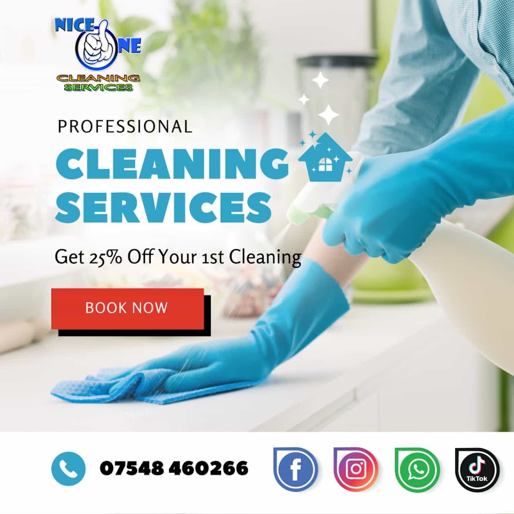 Nice One Cleaning Services Ltd