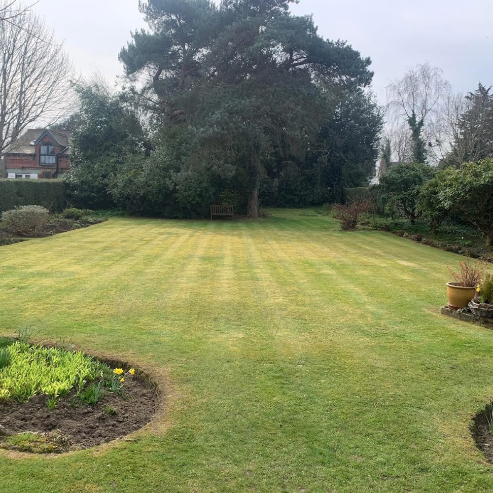 Neverlate Removals & Gardening