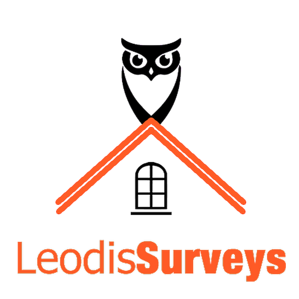 Leodis Surveys