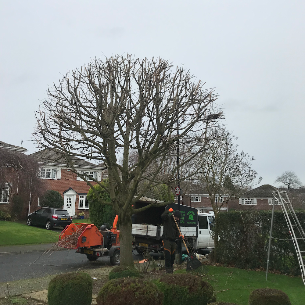 Oakwood Tree Services
