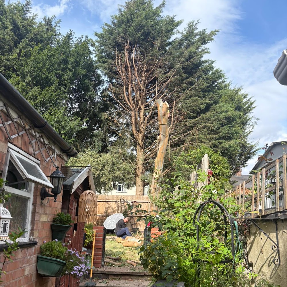 Oakland Tree Services Ltd