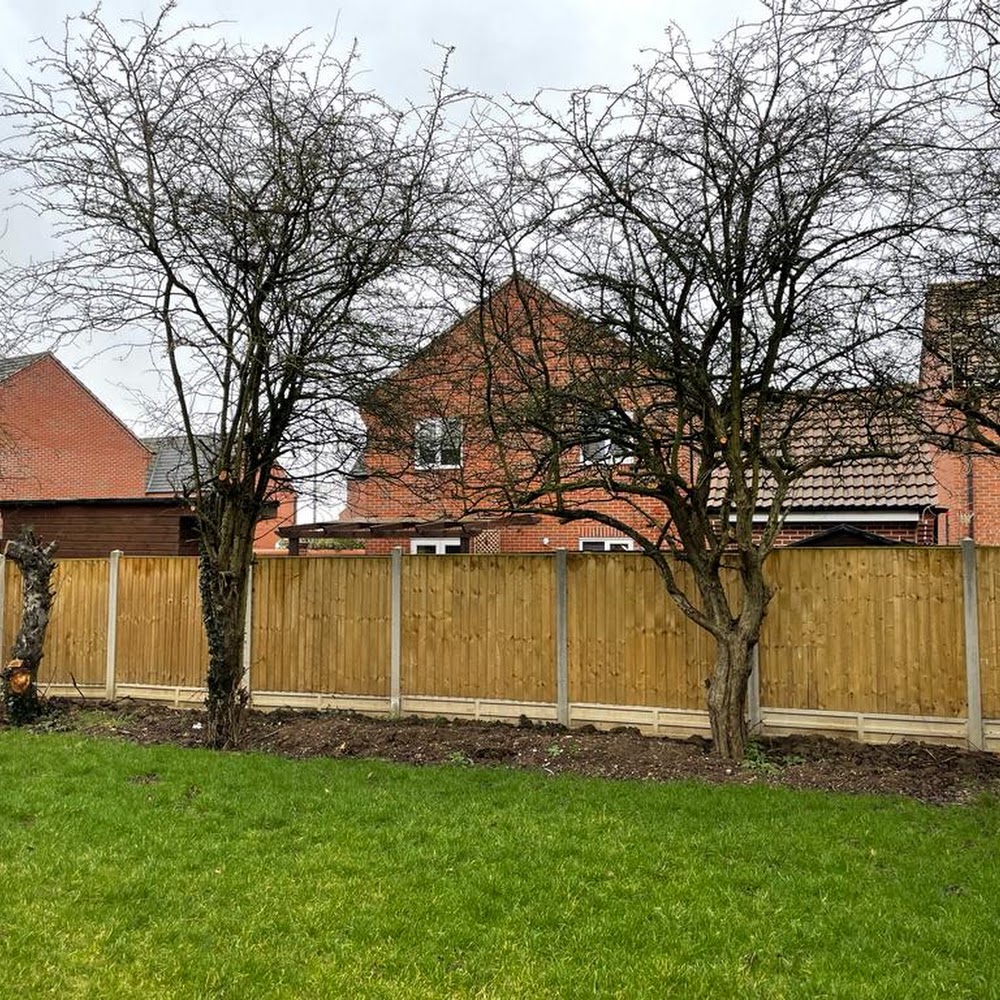 Tree Surgeons JC