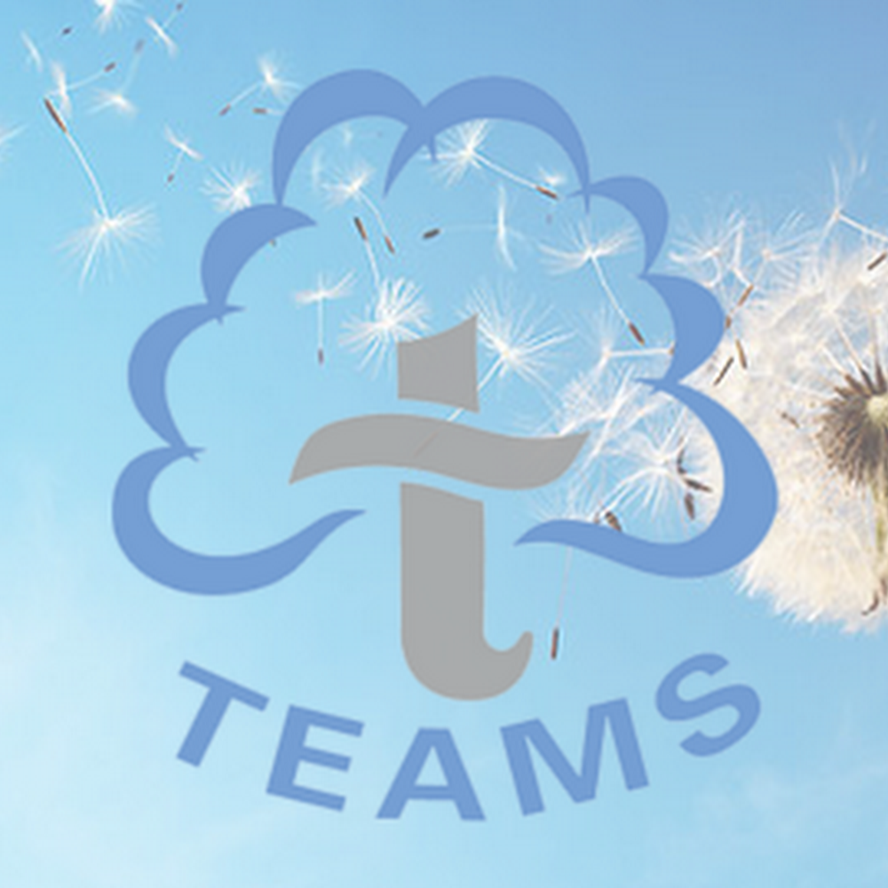 Teams Midlands LTD