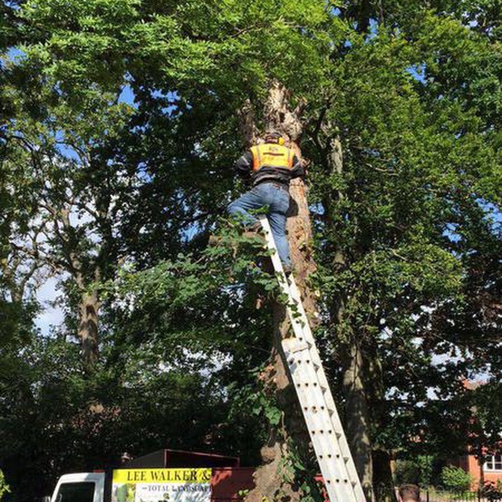 Lee Walker Tree & Garden Services