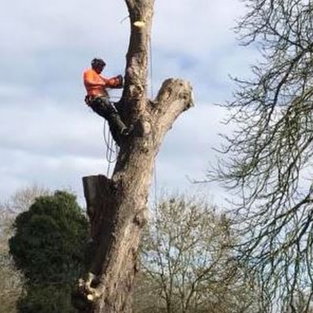 George Walker Tree Care