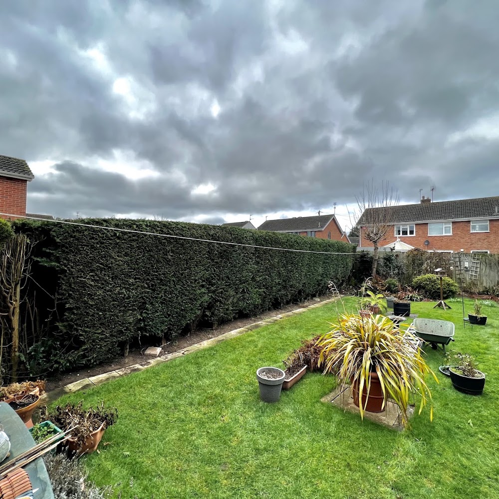 SunnySide Gardeners Tree Surgery & Gardening Services
