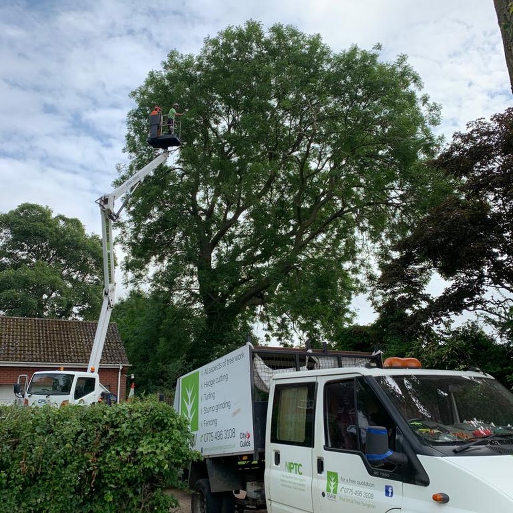 SSAW Tree Services
