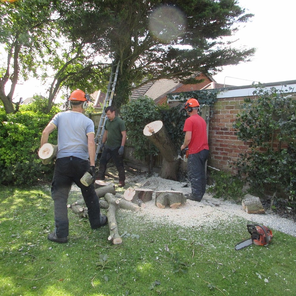 Liverpool Tree Care Services Ltd
