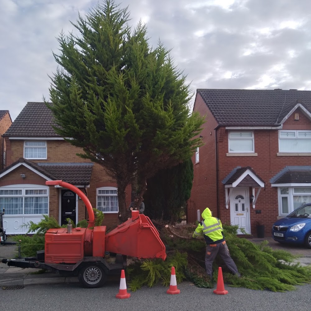 A & C Tree Care - Tree Surgeon West Derby