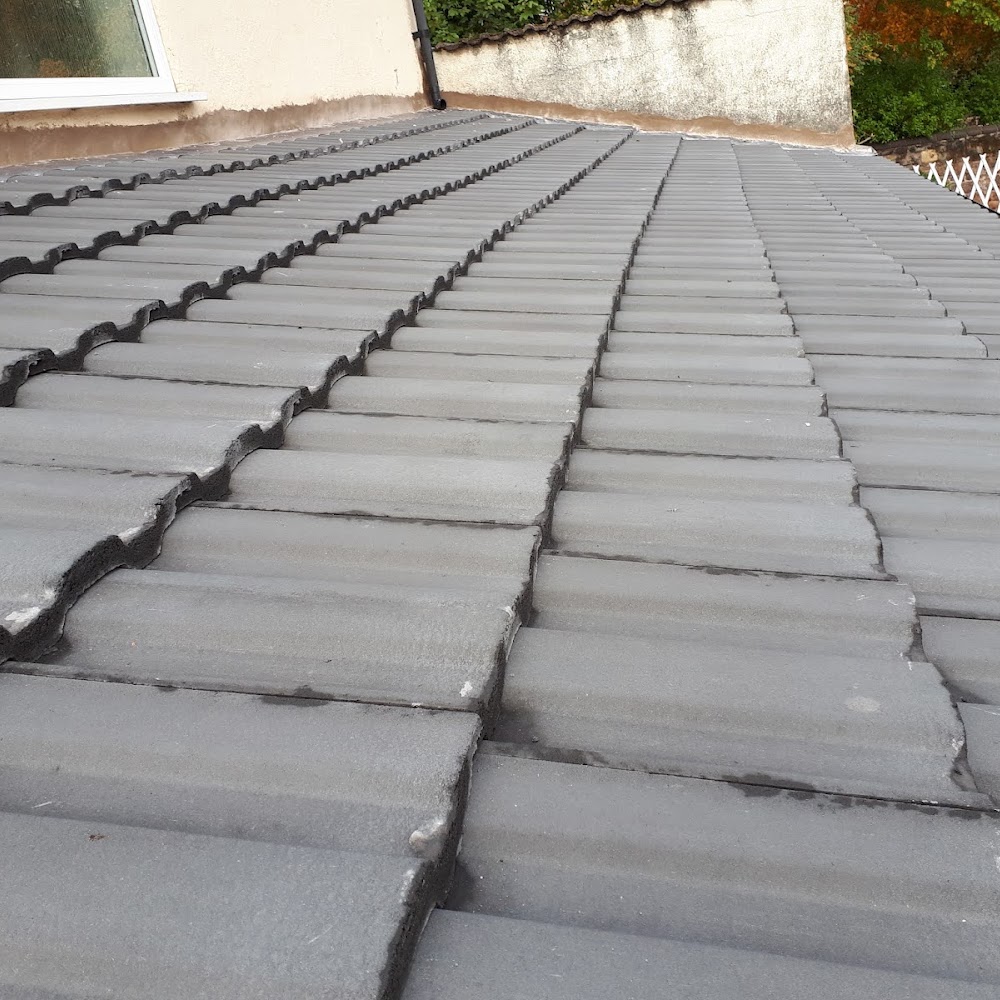 D & I Roofing
