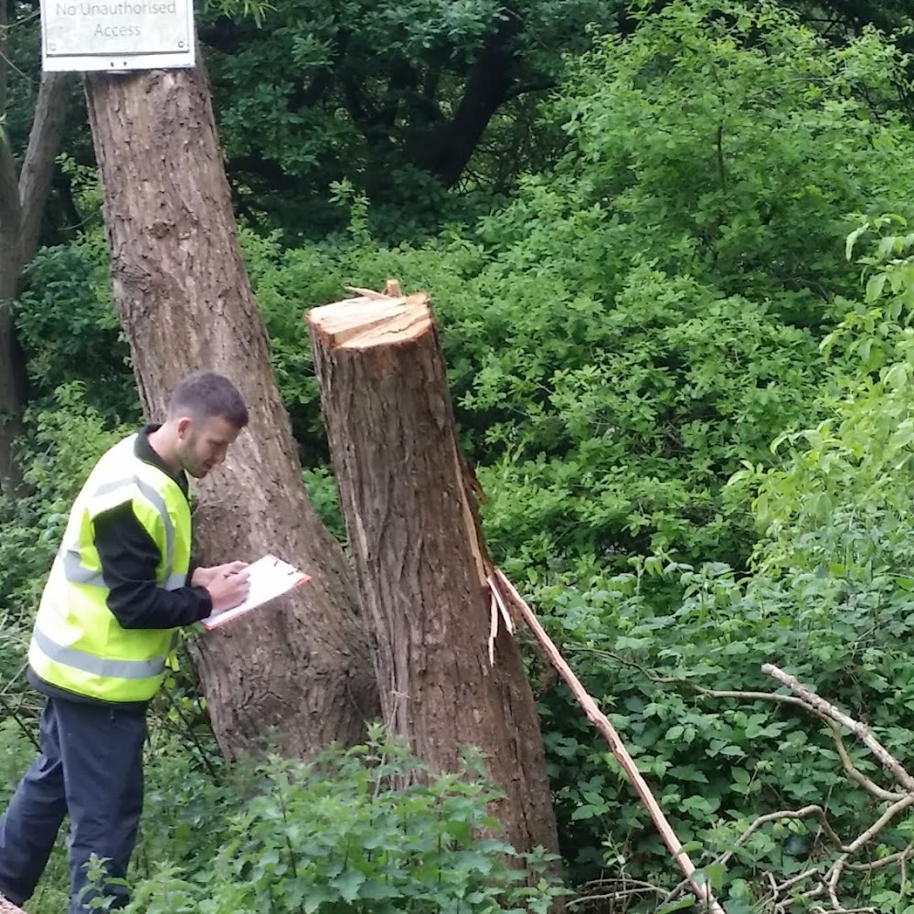 AJL Landscaping, Tree Services & Ground Maintenance