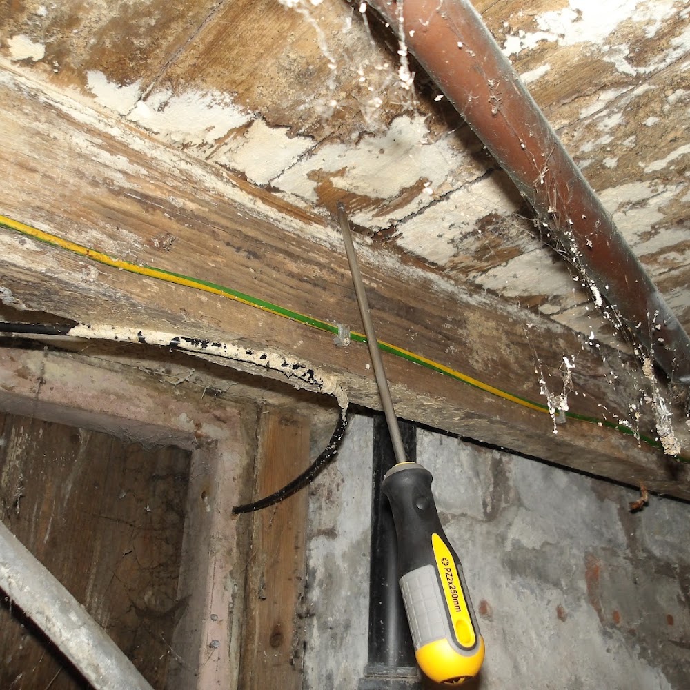 Oakbridge - Independent Damp & Timber Surveyors